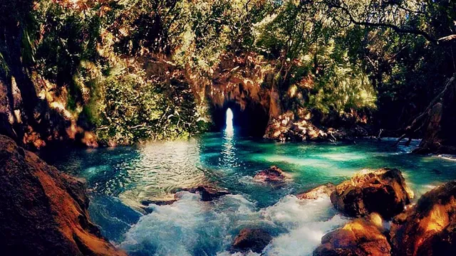 OFFICE: Whenuakura - Donut - Island Kayak Tour