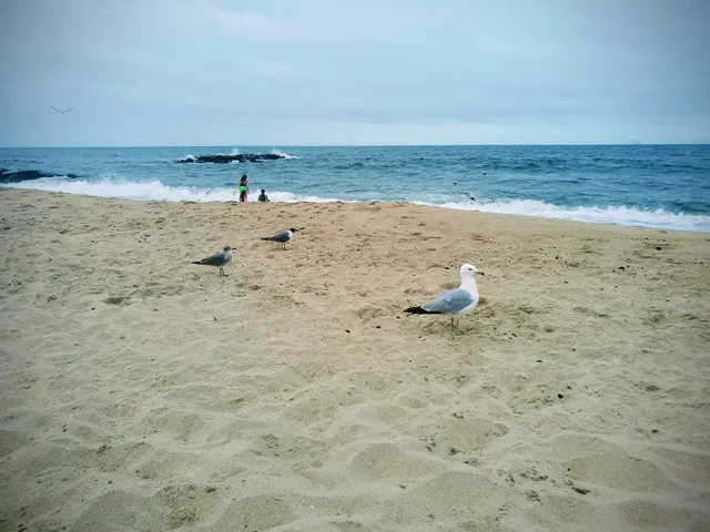 North Beach Boardwalk