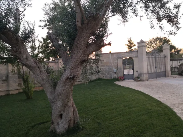 Villa Medici alla Macchia