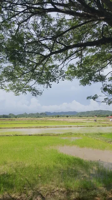 Homestay Padang Lalang