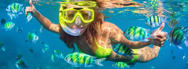 Snorkeling & Shelling Destin