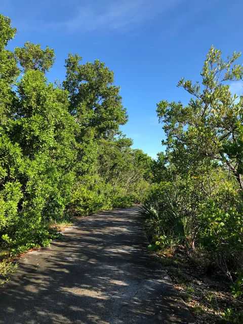 Bear Cut Nature Trail