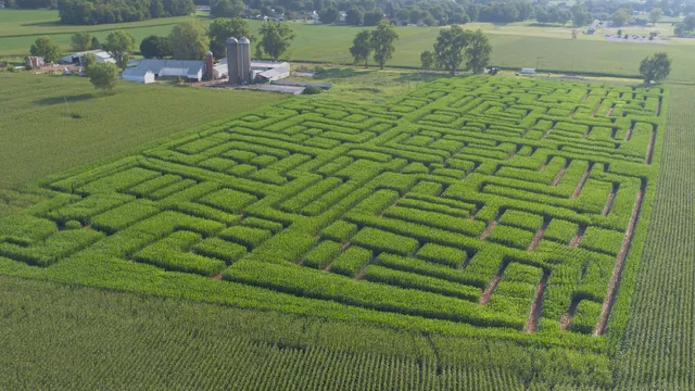 Seyfert's Corn Maze