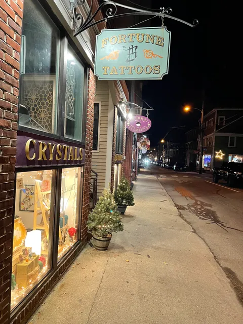 Natural Elements: A Nature and Science Store