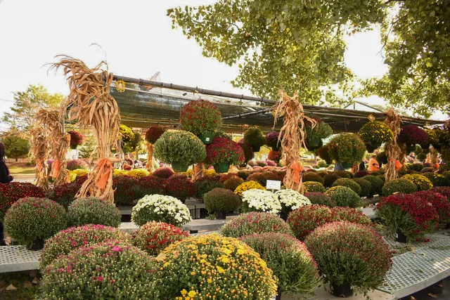 Johansen Farm Park, Bolingbrook Park District