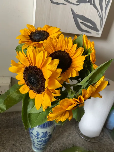 Farmer's Market of Keene