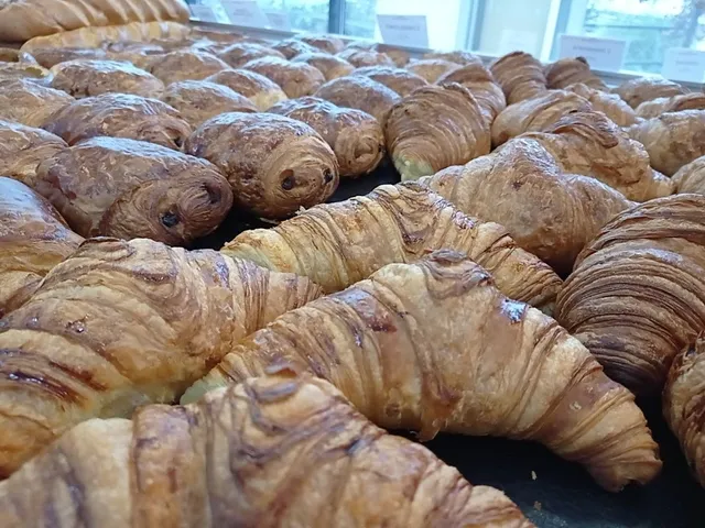 Le Grenier de Magendie