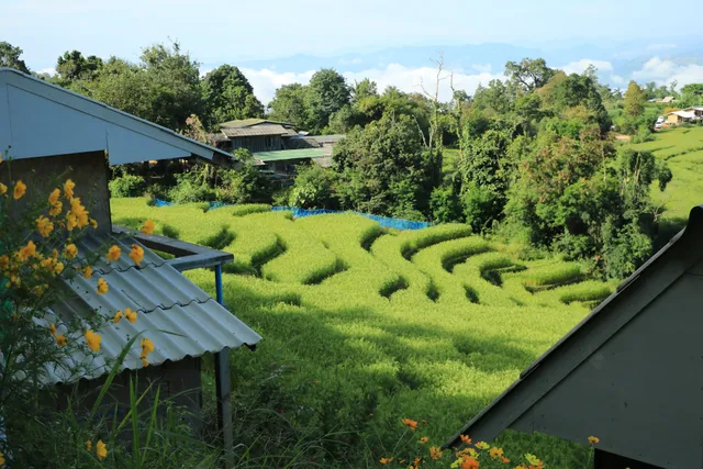 บ้านพักน้องน้ำพุ ป่าบงเปียง