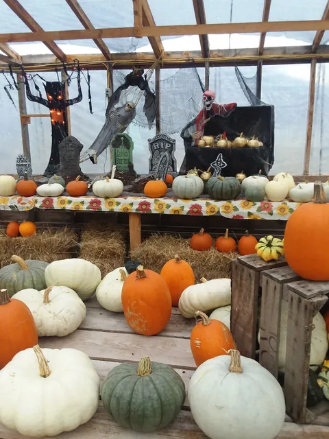 Val's Country Creations