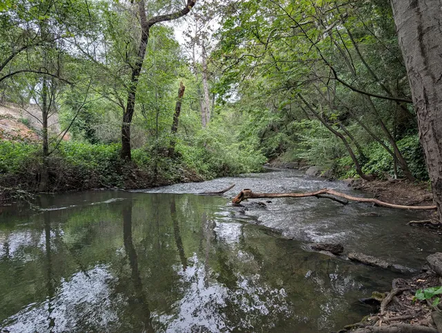 Trailhead, Lexington Dam Loop