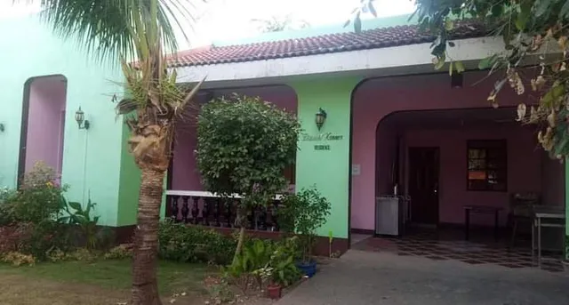 Driscoll Xannon Guesthouse