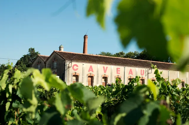 Domaine de Montcalm - Vignobles Jeanjacques