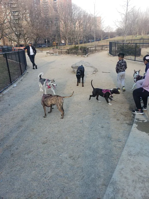 Soundview Park Dog Run
