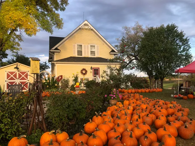 LuceLine Orchard, Best Apple Orchards in MN
