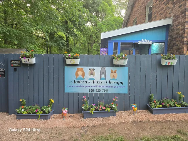 Andrea's Fuzz Therapy