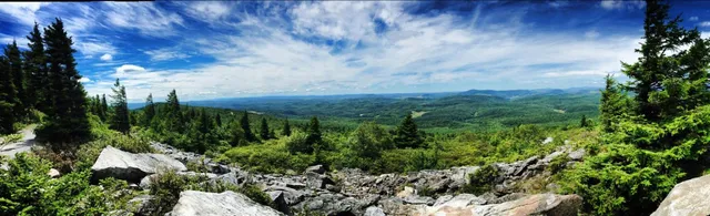 Brewstel Brew Shop and Hostel