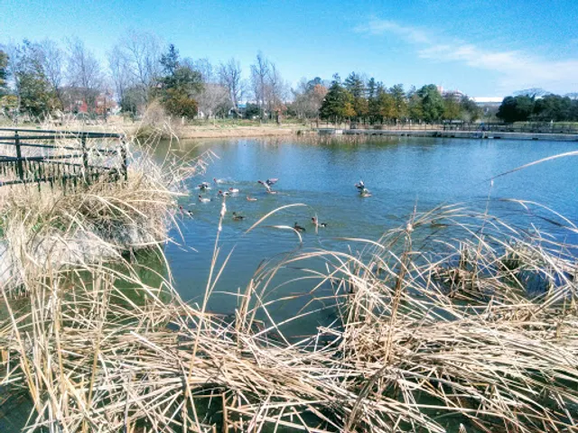 Restored and Preserved Water Area