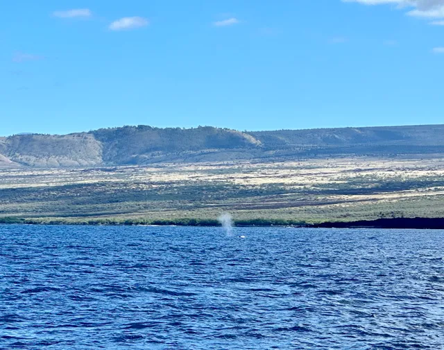 Hawaiian Adventures Kona