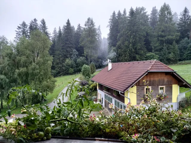 Zechnerhof Fam. Forcher