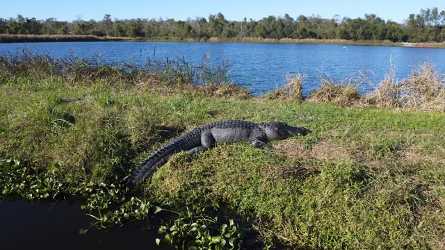 Amelia Community Center