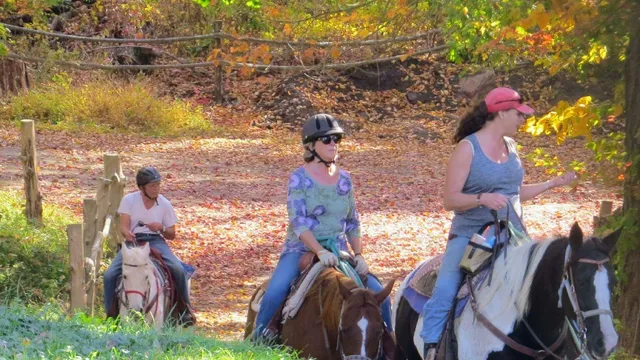 Gold Rush Farms, LLC