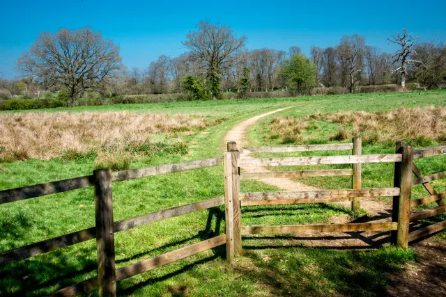 Rook's Nest Wood Country Park