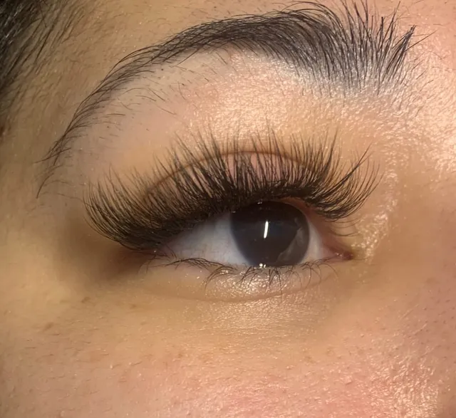 Amazing Lash Studio