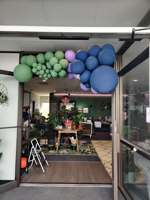 Daisy Links - Thrift, Craft, and Plant Emporium