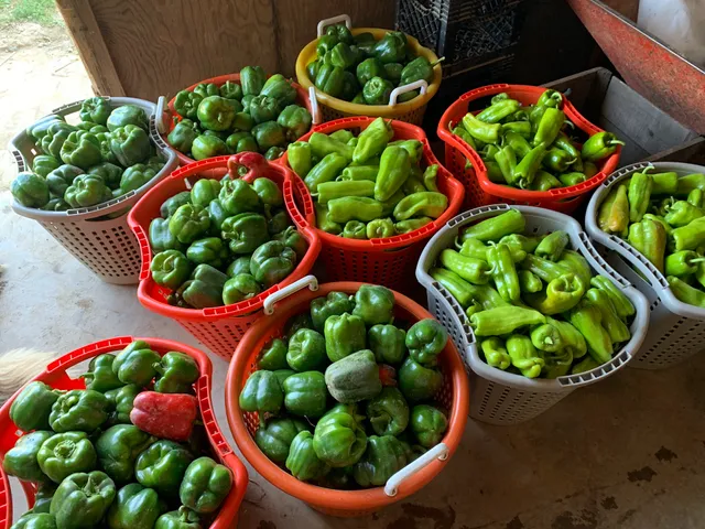 Harvest View Farm & Market