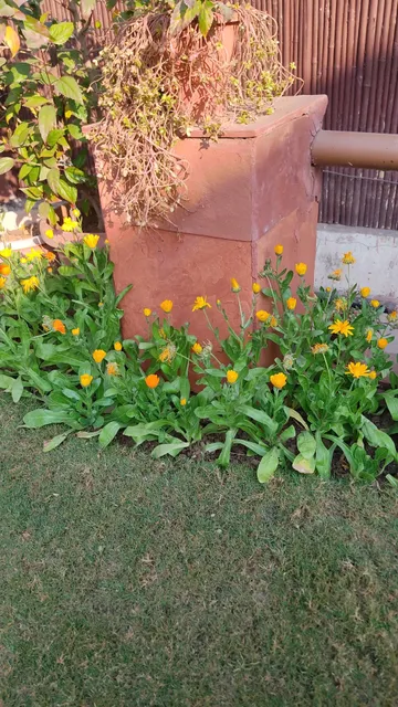 The Stay Inn New Delhi