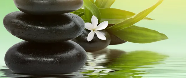 CJ ACUPUNCTURE (동의한의원)