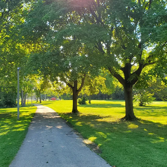 Wilson Park