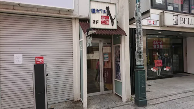 Cat Cafe Nekoya Kawagoe