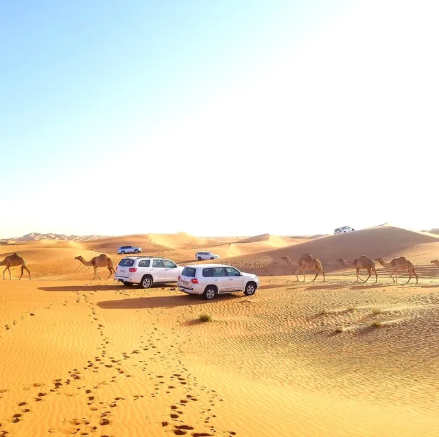Desert Safari Dubai