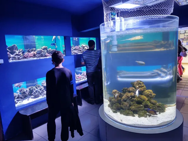 "The Danube Delta" Museum of Ecotourism