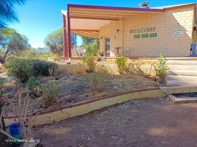 The Olive Branch York WA