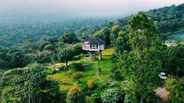 Tree Hut Kanthalloor