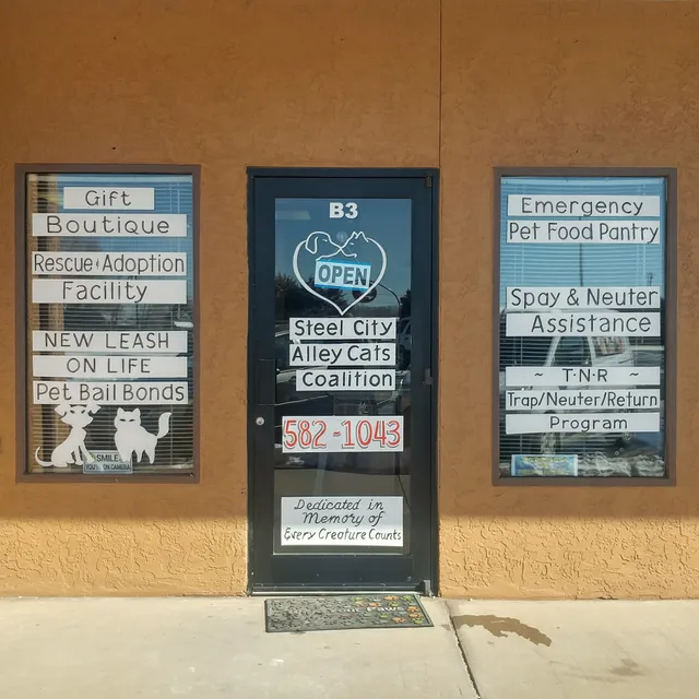 Steel City Alley Cats Coaltion