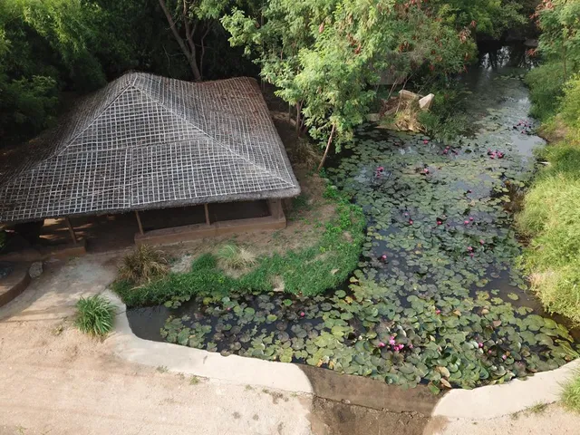 Hampi’s Whiskers Resort