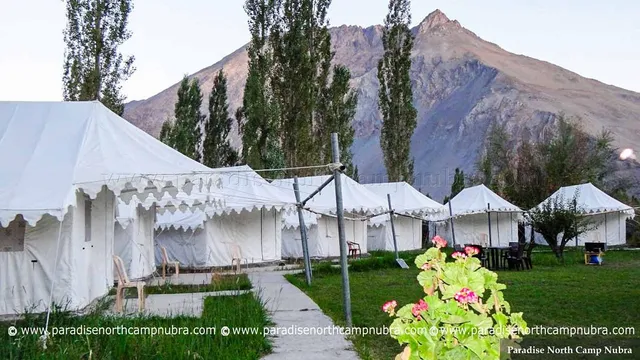 Paradise North Camp nubra