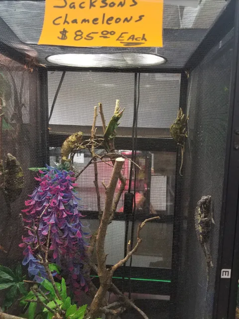 S & S Exotic Animals Inc