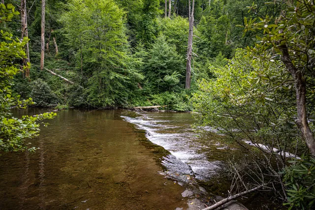 Abrams Falls Trailhead