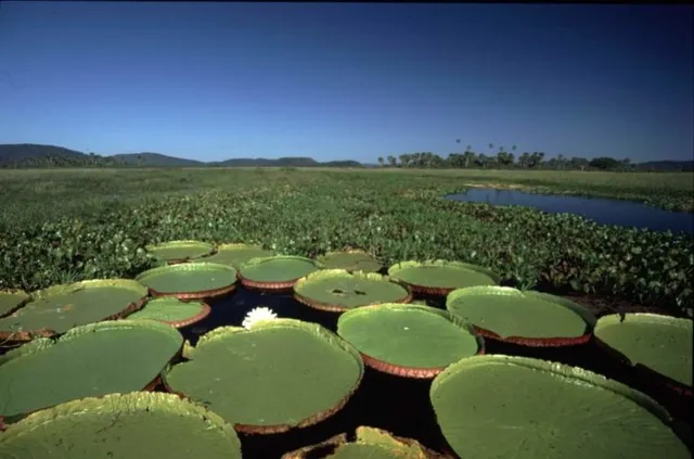 San Matías Integrated Management Natural Area