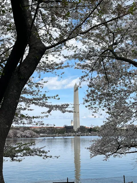 place image