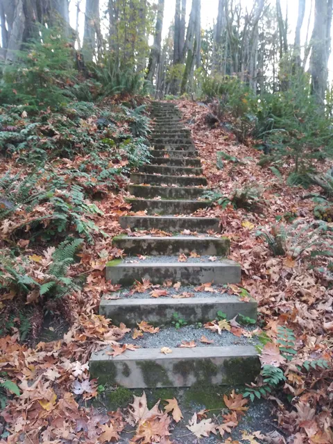 Cheasty Greenspace at Mt. View