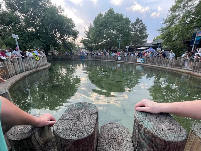 Minnesota State Fair DNR Building, Stage and Fish Ponds