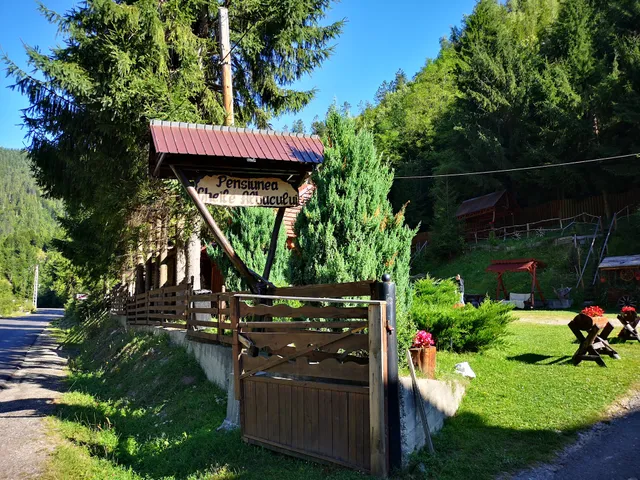 Pensiunea Cheile Albacului