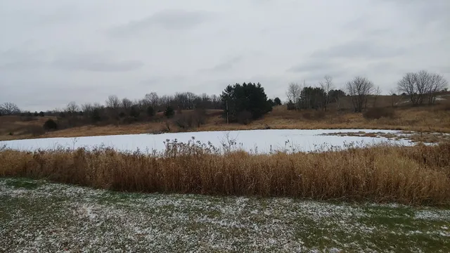 Forest Mushrooms, Inc.