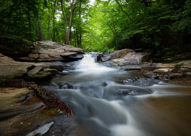 Raven Rock State Park Bridle Trails