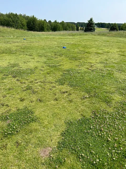 Cedar Creek Township